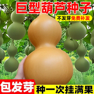 �ش���ͺ��J�N�Ѵ���J�r����N���̨ͥԺ��������ֲ��N������