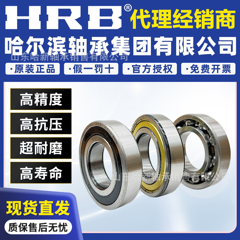 Harbin Bearing 6000 6001 6002 6003 6004 60052Z 2Rz