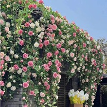 ���滨���Nޱ���������ϻ��b�픿��{ˮ�ܵ��p�@�b�õ��ٻ���