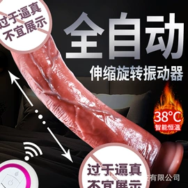 仿真阳具;其他情趣用品;震动棒