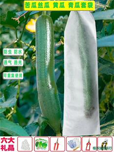 �o��������״��z�ϴ���ˮ���B���x͸���������S�ϏS�����l