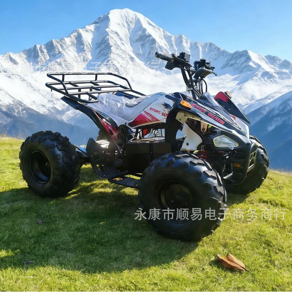 Electric beach off-road four-wheel car playing with sand