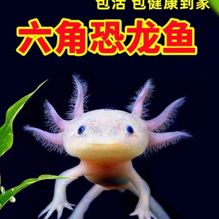 ���ǿ����~һ��һĸ�W�t������ˮ��ˮ�~�^�p�~���B����ϔ󢌙���~