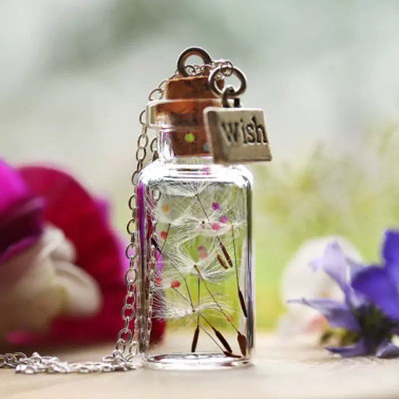 速卖通铁链蒲公英干花项链满天星小雏菊真花时光宝石玻璃球毛衣链