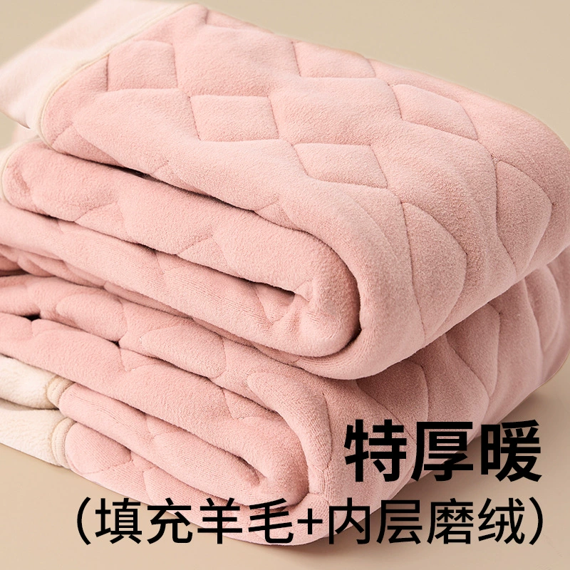 Шерстяные теплые брюки для женщин осенью и зимой с высокой талией, плюшевой эластией и стройными дамами