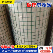 电焊网卷家禽笼舍金属围网果园圈地焊接钢丝网热镀锌防护网现货
