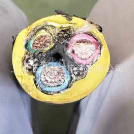 MC-0.38/0.66KV  2*50+1*25+2*4+2*(2*1.5)P  充电桩组合线