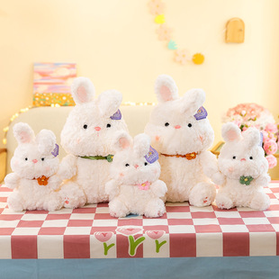 �ɐ�С����ë�q���С����8�羫Ʒץ�C����Ů��������ż��ͯ�Y��