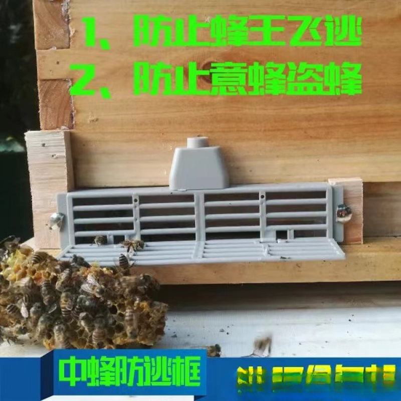防逃框蜜蜂防盗器防蜂王飞逃王笼隔王片防意蜂盗中蜂蜂箱巢门