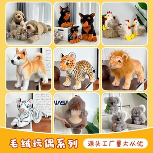 �羳؛Դë�q��߿�ͨ�ɐ�8��W�tץ�C��؈������ż���Z�������l