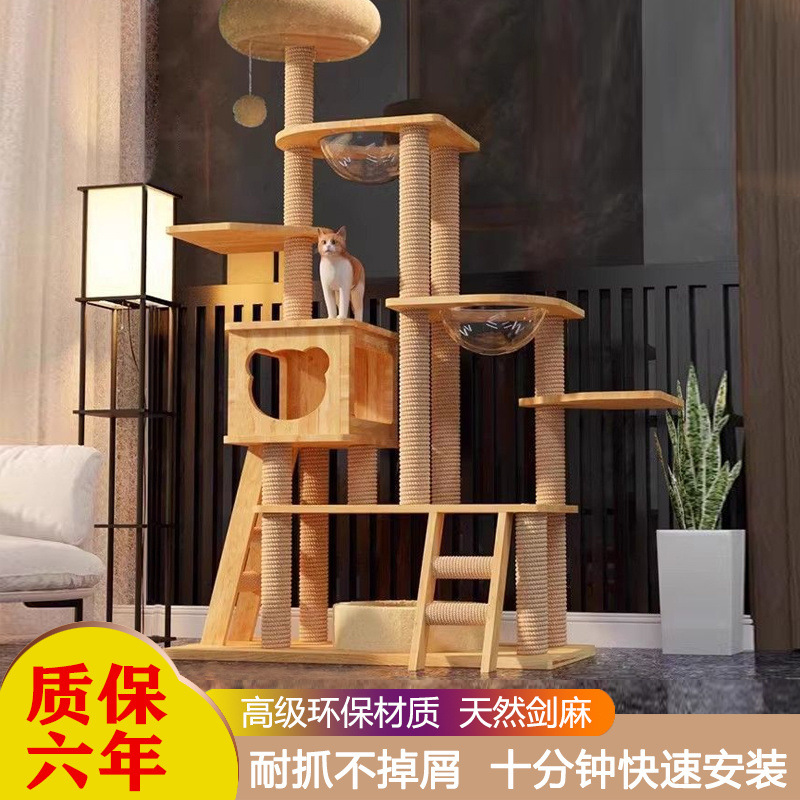 3135a8e8-5b53-48d5-9e7f-41b20aa3af75.jpe