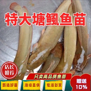 �������X���S���X�����T�~����������~�簣���X�~����ʭ��ˮ�~��