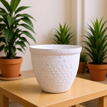 �A�δ�̖���溆�s���ϻ���G�}����Nֲ��