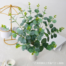 �ȼ������X��16�^ֲ������~�X�ݼپGֲ��c�b�����ķ��滨