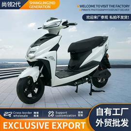 其他电动车;其他摩托车;电动摩托车