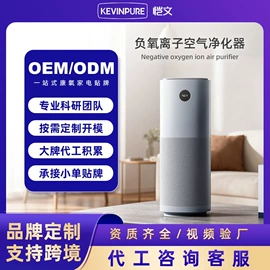 空气净化器;冰箱净化器;除醛机
