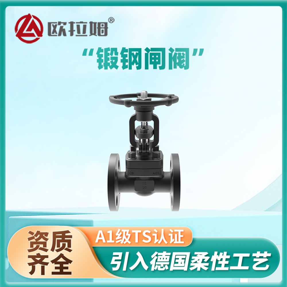 锻钢法兰闸阀 手动楔式结构 驱动合成装置实现高效化学反应