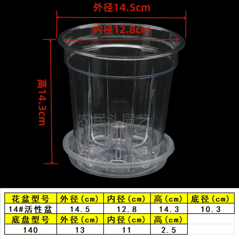 空気柱付きPC高透明活性ポット、熱植えデンドロビウム多肉植物、側穴付き根制御ポット、プラスチック胡蝶蘭ポット|undefined