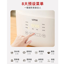 LOTOR電燉鍋小型寶寶煮粥用鍋隔水電燉盅預約定時嬰兒輔食煲燜有