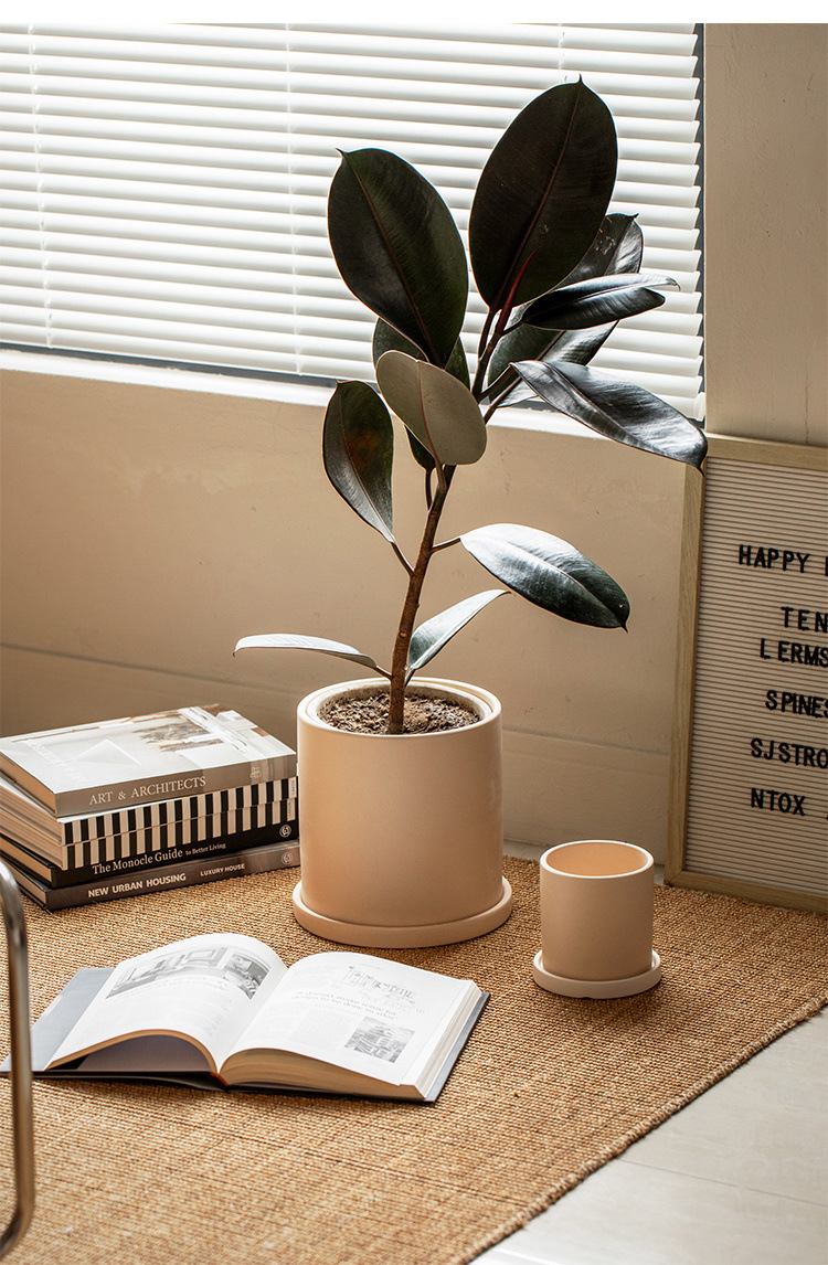 4f4d0f8b-009e-4660-8ef3-77f7d6a69f48.jpe