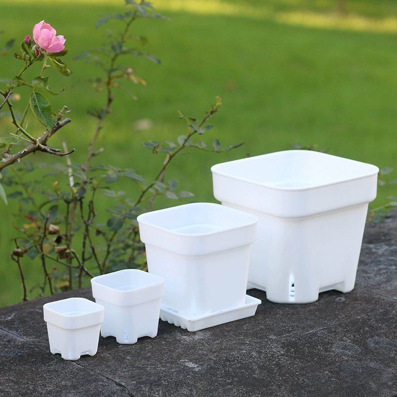 Несколько спецификаций очень толстые и неглубокие квадратные горшки садовые пластиковые цветочные горшки квадратные мясистые цветочные горшки мясистые черные белые прозрачные черенки