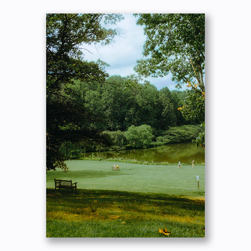 Green grass, small fresh green ins style, beautiful Nordic scenery, niche literary and artistic simple decorative painting