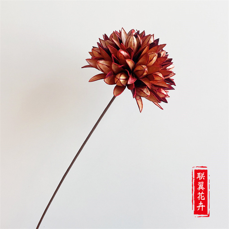 Flores Secas de Magnolia de Yunnan, Ramo de Magnolia de Mil Lengua, Flores Secas Combinadas, Decoración Suave para el Hogar, Fabricante de Ramos, Venta al por Mayor