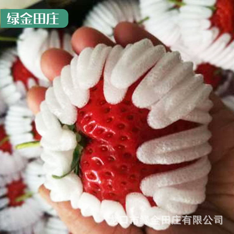 厂家批发水果包装莲花瓣网套 120#EPE 珍珠棉苹果橙子水果网托