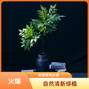 ����侰��������������~�Gֲ��ؔ[���҃ȿ͏d�پGֲ��Ҿ��b�