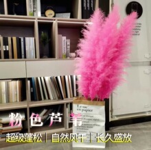 �W�t��ɫ���JȔ�ɻ������滨��������ֱ���g�bɻ��b[���F�z