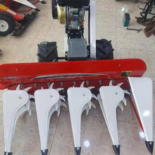 ַJȔlC ˮոC Ŀݲ~ոC