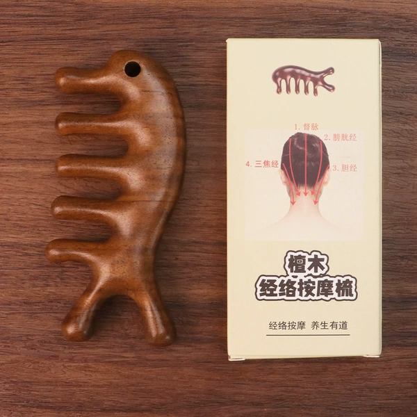 Dolphin Massage Comb+Box
