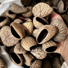 印尼果壳散壳批发果壳摇铃挂件果壳包挂挂件果壳摇铃diy满愿种子