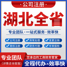 武汉襄阳宜昌荆州公司注册记账报税注销变更营业执照孝感黄石黄冈