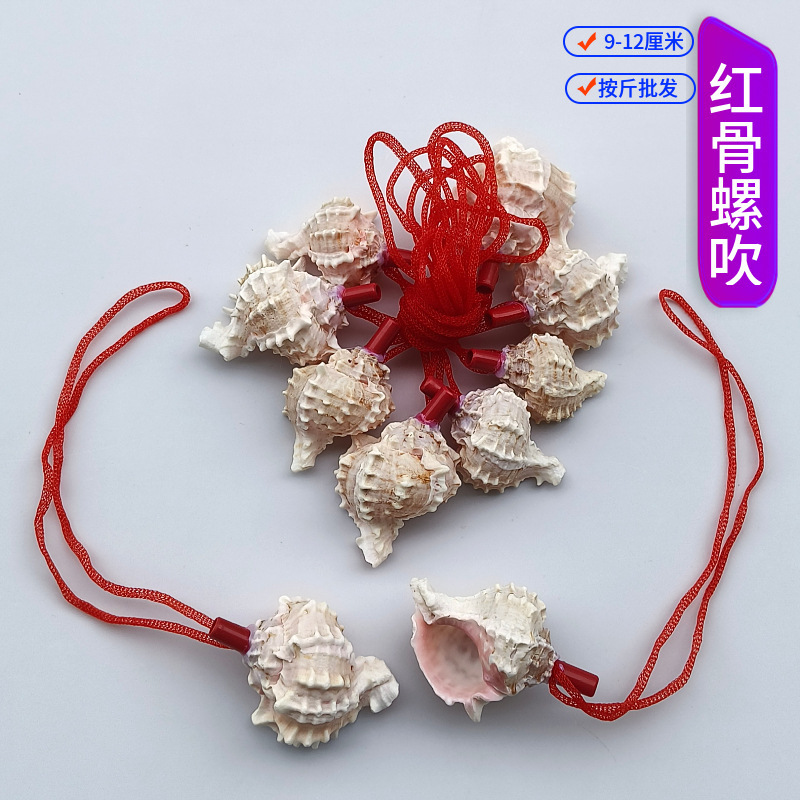 露店の装飾品、さまざまな貝殻、巻貝の工芸品、貝殻、巻貝の笛、子供のおもちゃ、巻貝の笛の卸売|undefined