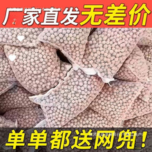 пʯӢ~^Vˮ{׼մɃˮV