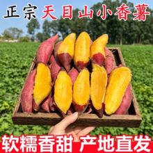 临安天目山正宗小香薯产地直发新鲜红薯9斤当季沙地蜜薯地瓜番薯