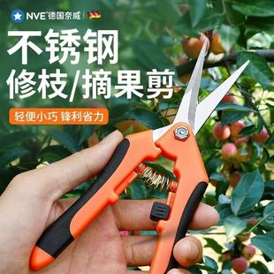 Stainless Steel Pruning Shears Special Scissors for Gardening Fruit Branch Shears Fruit Tree Grape Shears Garden Plate Tree Branch Shears