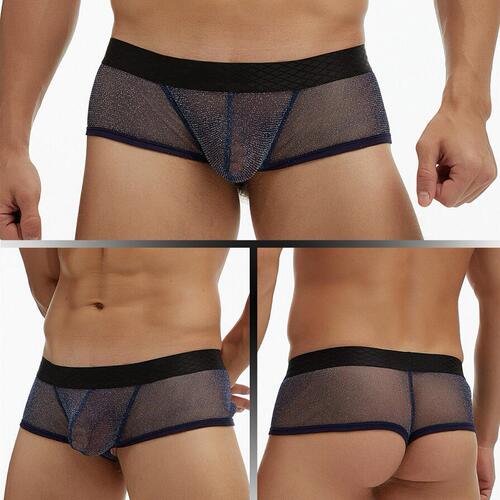 European and American foreign trade GAY men's underwear see-through fine mesh pouch low-waisted wide-brimmed boxer briefs large size E076