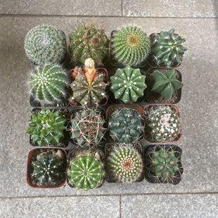 �_���������ȫ���b�ļ�������ɫ�����k���ҷ�ݗ�����l�����羳�S