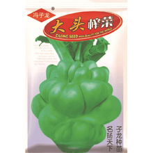 �T�����N�繫˾ֱ�����������طNֲ�߲˷N�� ���^ե��