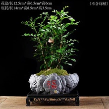 մɰ軨ƿ⻨Ժs滨辰[Q羳@ˇ