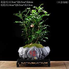 创意陶瓷紫砂花盆花瓶多肉花盆栽简约仿真花盆景摆件外贸跨境园艺