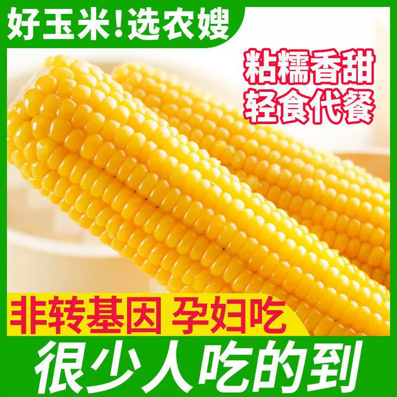 包邮东北农嫂黄糯玉米香东北原产黑花玉米代餐批发