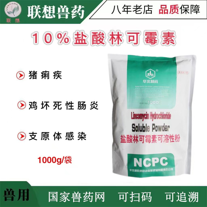 兽用10%华北制药林可霉素鸡鸭鹅猪用药产后消炎大肠杆菌1000g兽药