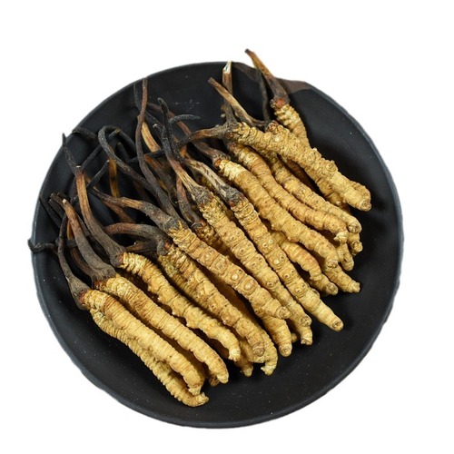 Western Tibet is compared to Qinghai Yushu without breaking grass and toothpick soaking wine dry goods as gifts high-altitude winter grass.