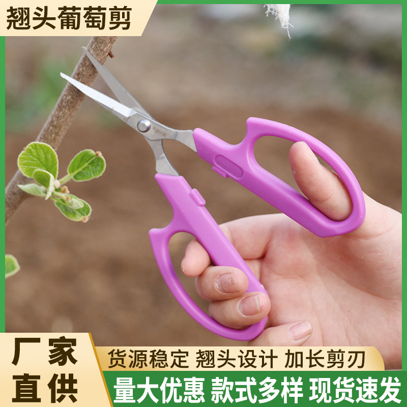 厂家批发翘头葡萄剪不锈钢摘果剪果园大棚用蔬果剪盆栽园艺弯头剪