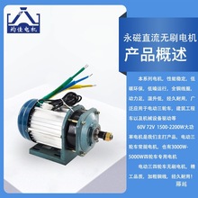 三轮电动车电机无刷中置大功率电动机60v72V1500w2000w3000W交流