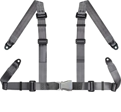 four-point seat belt amusement | Other Automotive Safety Supplies - grey-metal-buckle