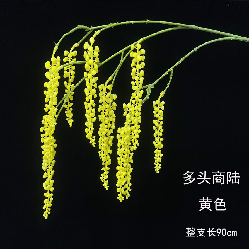 폴리머스 피톨라카스-옐로우